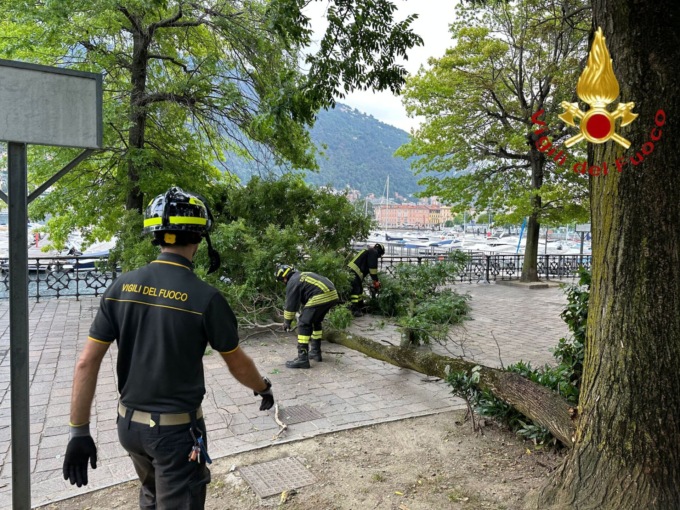 Albero pericolante sul lungolago: intervengono i Vigili del fuoco