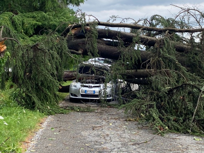 Alberi caduti e tetti scoperchiati per il maltempo