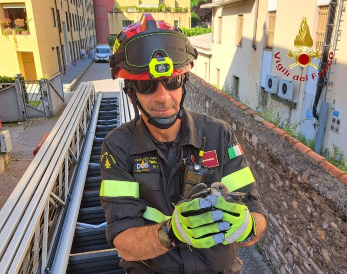 I Vigili del fuoco salvano una rondine