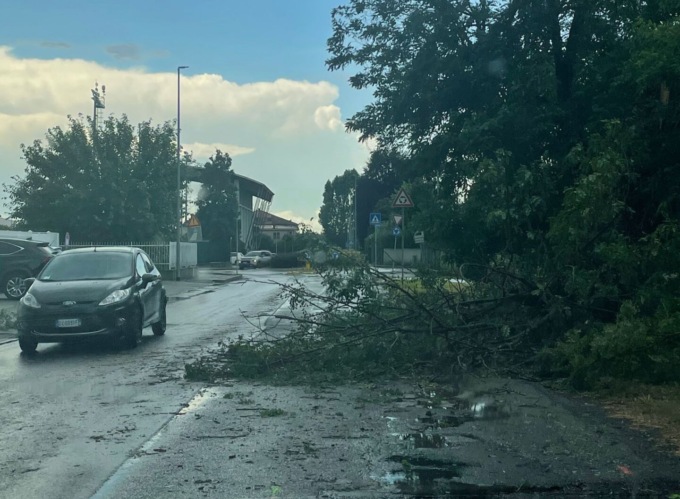 Maltempo nel Comasco: alberi caduti a Cabiate e Cadorago