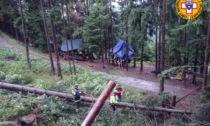 Tragedia in Val Camonica: 16enne comasca muore schiacciata da un albero