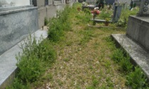 Glifosato per diserbare le aree cimiteriali: l'allarme lanciato dal circolo ambiente