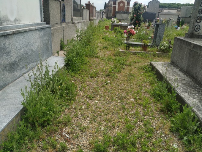 Glifosato per diserbare le aree cimiteriali: l’allarme lanciato dal circolo ambiente