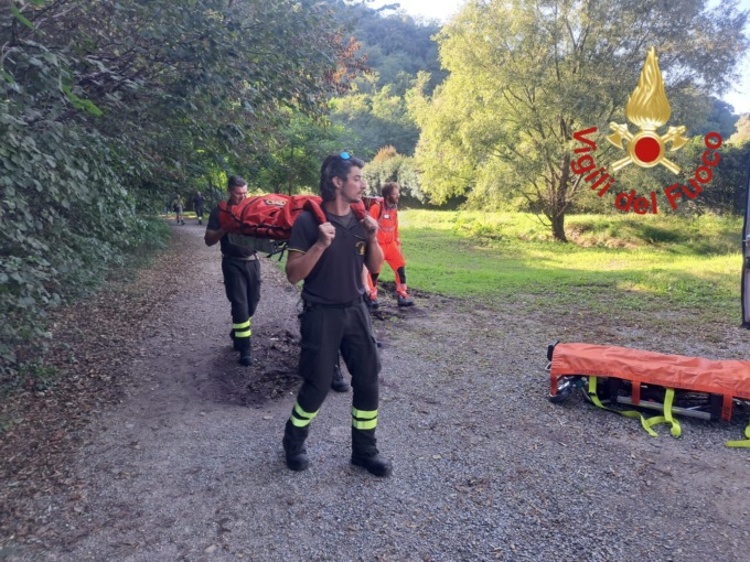 Due persone assalite dai calabroni in Valbasca: i Vigili del fuoco trovano un nido di 4 metri