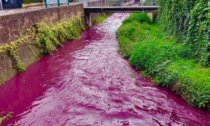 Sostanza inquinante nel fiume: il Lura si tinge di fucsia