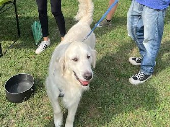 Un successo la festa del bastardino al parco Majnoni