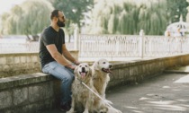 Serata d'arte e solidarietà: raccolta fondi per i cani guida dei Lions a Como