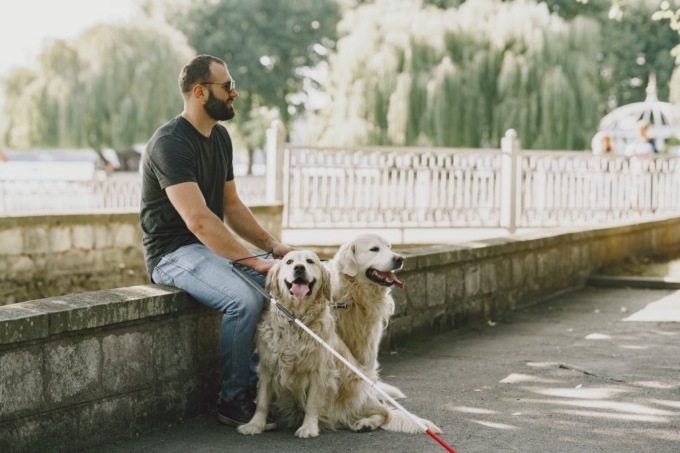 Serata d’arte e solidarietà: raccolta fondi per i cani guida dei Lions a Como