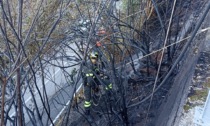 Piante avvolte dalle fiamme: scongiurato incendio boschivo a Brunate