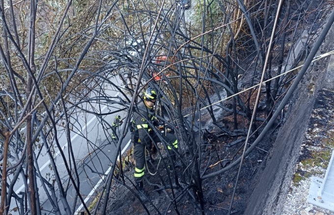 Piante avvolte dalle fiamme: scongiurato incendio boschivo a Brunate