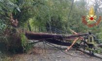 Chiusa via 27 maggio: un albero caduto ha colpito i cavi della corrente