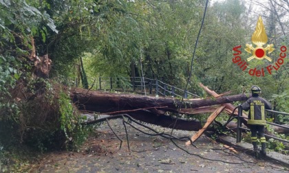 Chiusa via 27 maggio: un albero caduto ha colpito i cavi della corrente