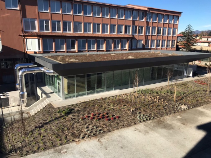 Migliaia di piante per trasformare la scuola in un giardino fiorito
