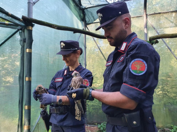 Carabinieri forestali