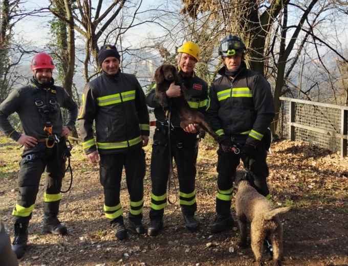 Cani cadono da una scarpata di sei metri, salvati dai Vigili del fuoco
