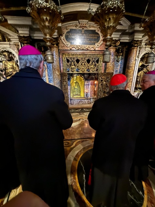 cardinale Cantoni da papa Francesco