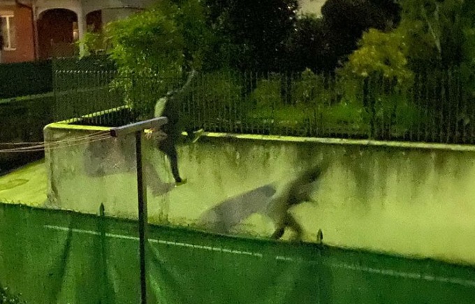 Quarta intrusione nella stessa casa, ladri immortalati da un vicino