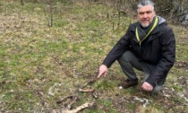 Selvatici, situazione sempre più surreale: la Coldiretti scopre un cimitero di ossa sul Lago di Piano