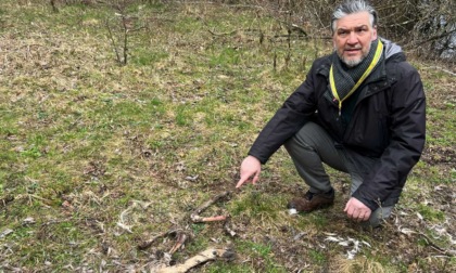 Selvatici, situazione sempre più surreale: la Coldiretti scopre un cimitero di ossa sul Lago di Piano