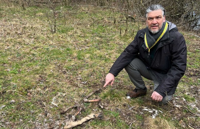 Selvatici, situazione sempre più surreale: la Coldiretti scopre un cimitero di ossa sul Lago di Piano