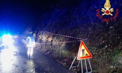 Crolla una riva e si riversa sulla strada: intervengono i Vigili del fuoco