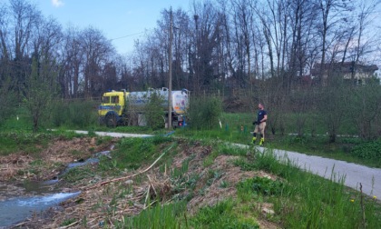 In secca il lago del parco del Lura: i Volontari del Lario salvano rane e pesci