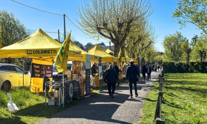 Domenica a Eupilio torna l’AgriMercato di Campagna Amica