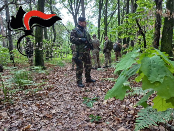 Maxi controlli dei Carabinieri tra arresti, denunce e lotta alla droga
