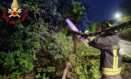 Forte vento, 40 interventi di soccorso dei Vigili del fuoco