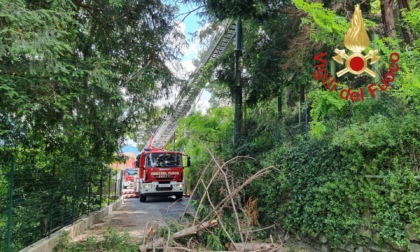 Precipita dal cestello mentre taglia delle piante: è grave