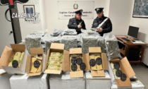 Sequestrati 43 chilogrammi di Marijuana, danno da 260mila euro