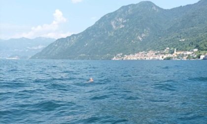 Si tuffa nel lago e poi si trova in difficoltà: anziano salvato dalla Polizia