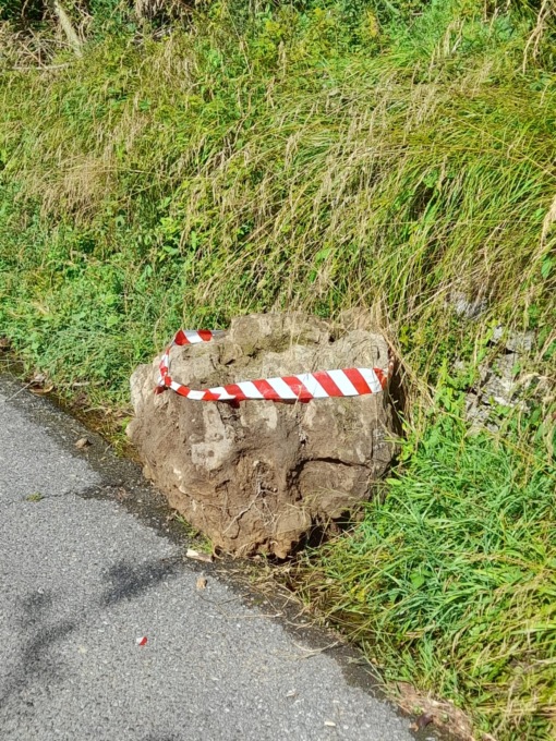 Un masso staccatosi dalla montagna è caduto sulla strada
