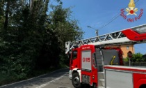 Piante a rischio crollo, intervengono i Vigili del fuoco