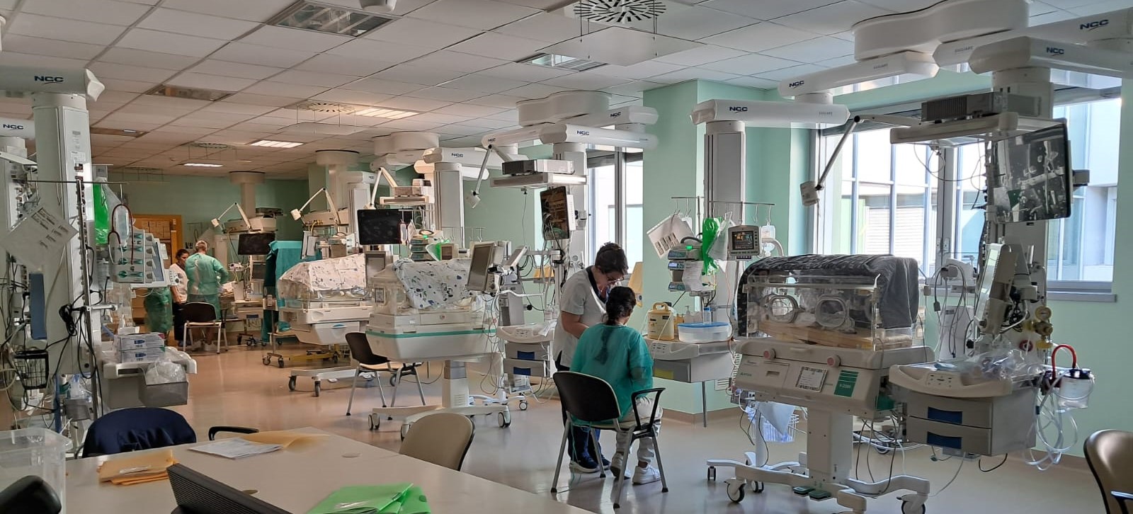Terapia Intensiva Neonatale