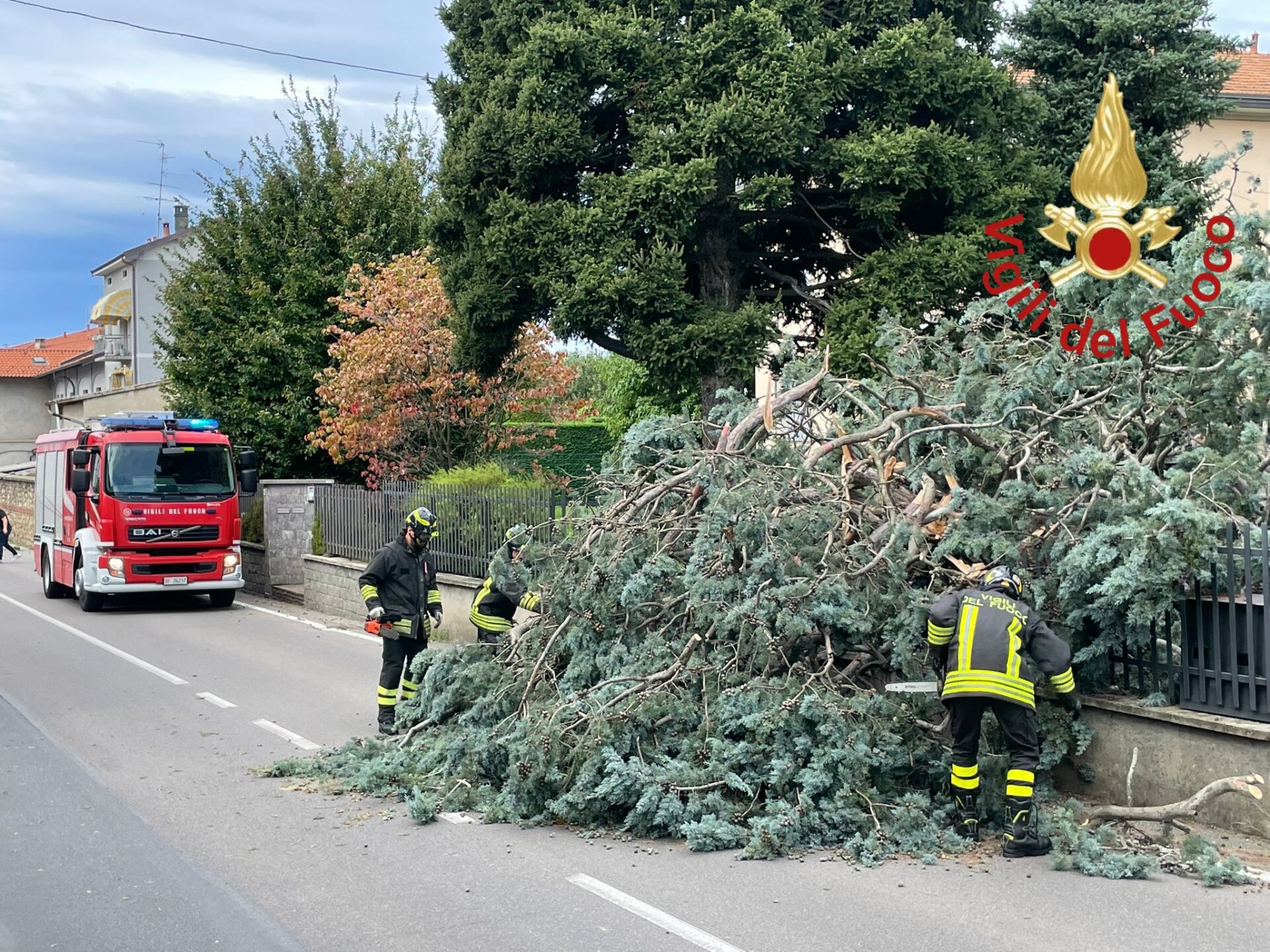 Vigili del fuoco alberi caduti vento maltempo  provincia di Como