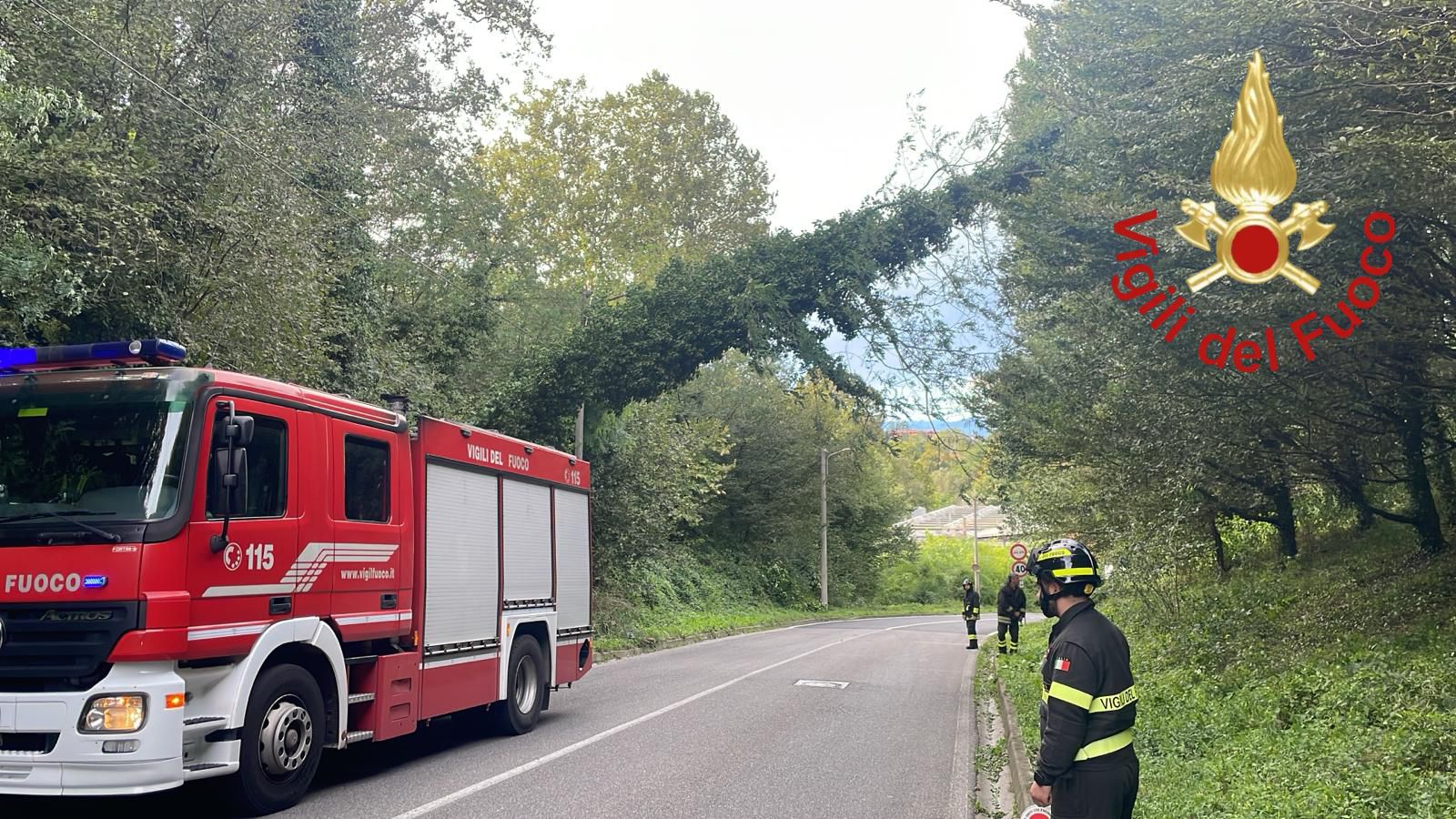 Vigili del fuoco alberi caduti vento maltempo  provincia di Como