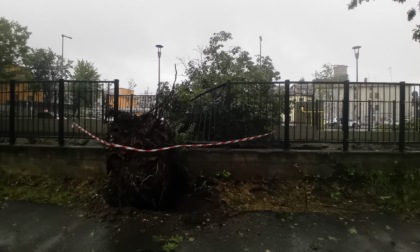 Maltempo a Carugo: alberi danneggiano il cancello della Rsa