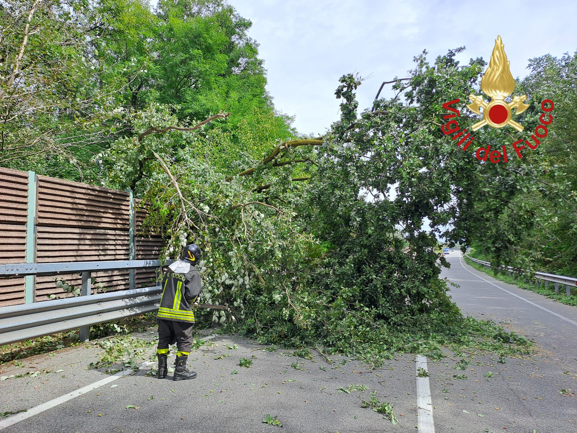 Vigili del fuoco alberi caduti vento maltempo  provincia di Como