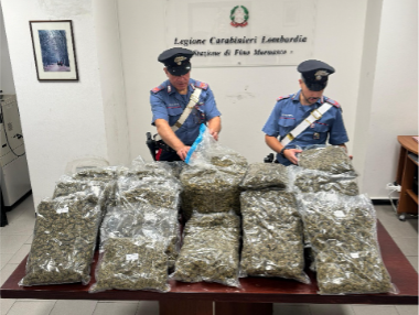 Scoperto un deposito di marijuana: c’erano più di 24 chili