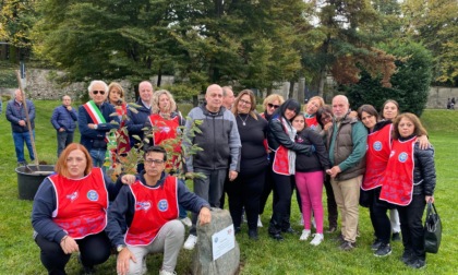 Un albero e una targa nel parco: “Nicolas non sarà dimenticato"