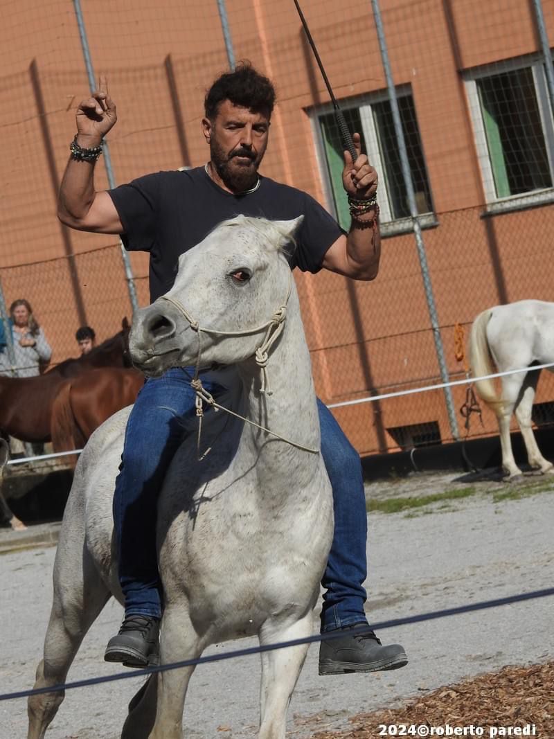 asso festa del cavallo (5)