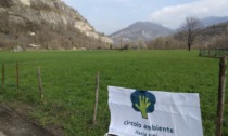 Scarenna: il Circolo Ambiente Ilaria Alpi contro il progetto per ripristinare la strada