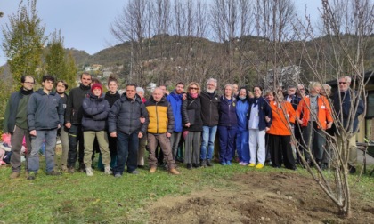 Donato un ciliegio da fiore per il parco dell’Hospice San Martino