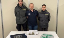 Cani antidroga trovano 40 grammi di Marijuana in un'auto