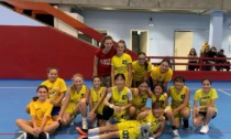 Come crescono bene le neonate Koala Under13 del Basket Olgiate