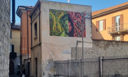 25 novembre, street art contro la violenza