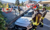 Auto contro un palo della luce, via Provinciale attualmente chiusa