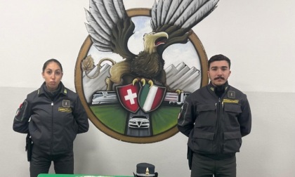 Sgominata banda dedita al traffico internazionale di droga