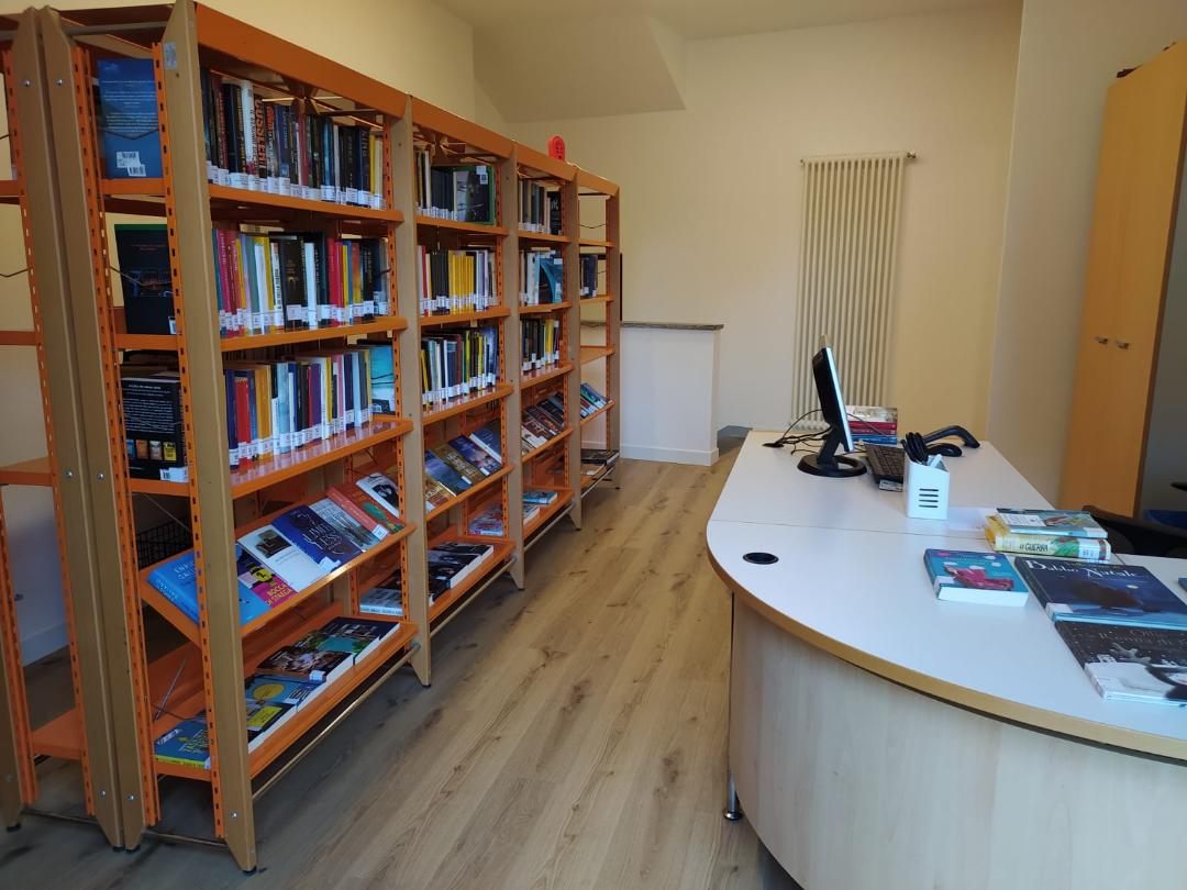 biblioteca Bizzarone